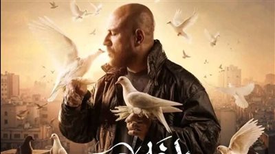 تفاصيل أحداث الحلقة الثانية من مسلسل الغاوي... الخواجة يخطف نجل شقيقة شمس 