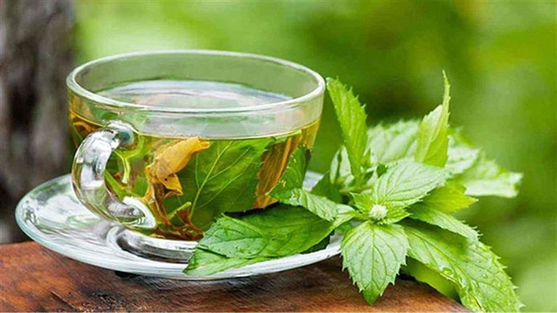 فوائد الشاي الأخضر