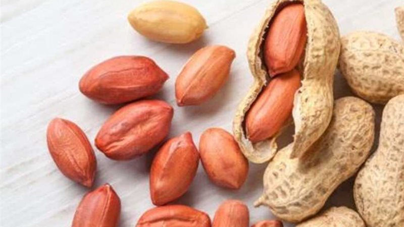 الفول السوداني