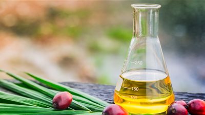 لماذا يعتبر زيت النخيل مكونًا سحريًا في العناية الشخصية؟