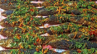 أسعار السمك والجمبري اليوم الثلاثاء 25-3-2025 .. البلطى بكام بالاسواق 