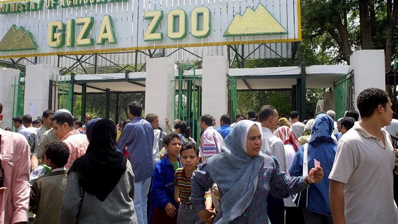 حديقة الحيوان بالجيزة