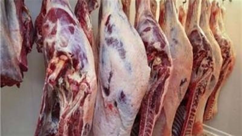 أسعار اللحوم الحمراء