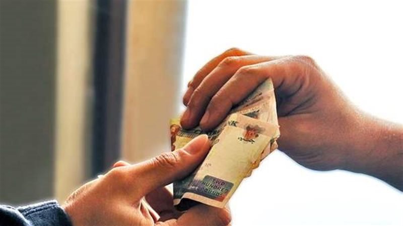 زكاة الفطر