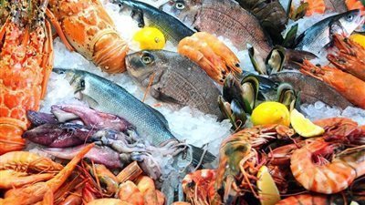 أسعار السمك والجمبري اليوم الثلاثاء 8-4-2025 داخل الأسواق