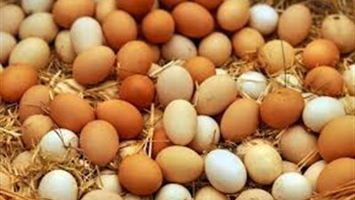 سعر كرتونة البيض اليوم 26-3-2025 للمستهلك .. بخصم 30%