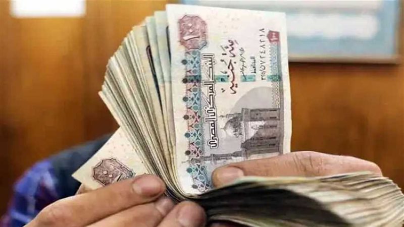 قروض بنك ناصر الاجتماعي