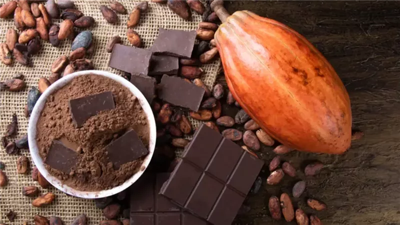 الشوكولاتة الداكنة