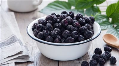 أهم فوائد التوت الأسود الفريدة والمثيرة للصحة العام.. فوائد مبهرة 