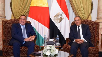 3 ملفات شائكة علي طاولة وزير الخارجية ونظيره السيشلي