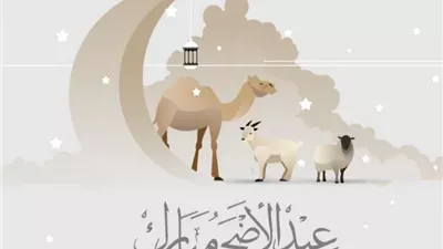 موعد عيد الأضحى المبارك 2025.. متى سيكون يوم وقفة عرفات؟