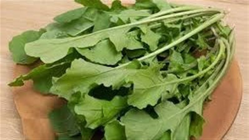 أغنى من البرتقال