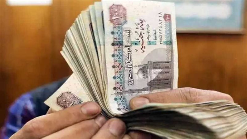 بنك ناصر الاجتماعى