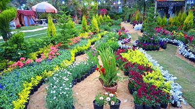 موعد معرض الزهور 2025.. اعرف المكان وفتح باب الاشتراك 