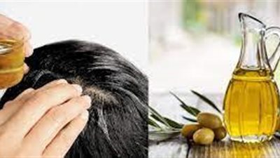 من الطبيعة إلى الجمال.. فوائد زيت الزيتون في العناية بصحة شعرك