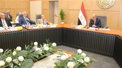 ننشر تفاصيل إعادة هيكلة الشركة القابضة وفصل المصرية لنقل الكهرباء