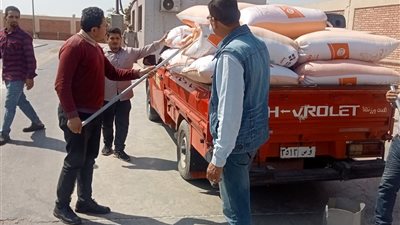 الجيزة تتلقى 16 ألف طن قمح منذ بدء موسم التوريد