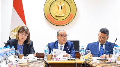 وزير الخارجية: مصر تستضيف أكثر من 10 ملايين مهاجر ولاجئ