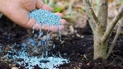  ارتفاع أسعار الأسمدة في الأسواق المصرية يثير قلق المزارعين