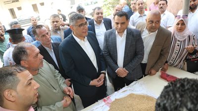 محافظ الجيزة يعلن مؤشرات هامة حول معدلات توريد القمح في صومعة إمبابة 