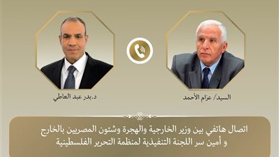 تفاصيل مباحثات وزير الخارجية وأمين سر اللجنة التنفيذية لمنظمة التحرير الفلسطينية