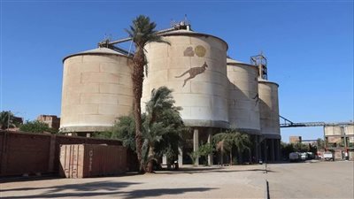 محافظ سوهاج: توريد 82 ألف طن قمح وصرف مليار جنيه للمزارعين دون معوقات