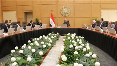 مباحثات مكثفة بين وزير الكهرباء ومجموعة إنكوم للتعاون بتخزين الطاقة وصناعة البطاريات