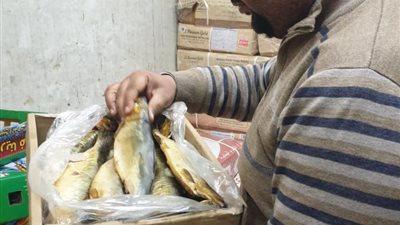 صور.. الجيزة تضبط 18.5 طن لحوم ودواجن وأسماك فاسدة بهذه المناطق