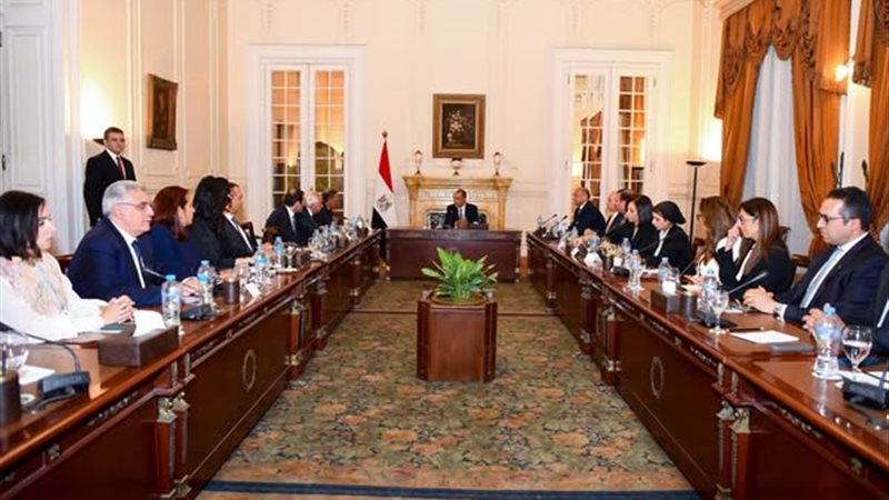 وزير الخارجية ووفد