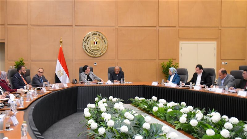 اجتماع وزيرا الكهرباء