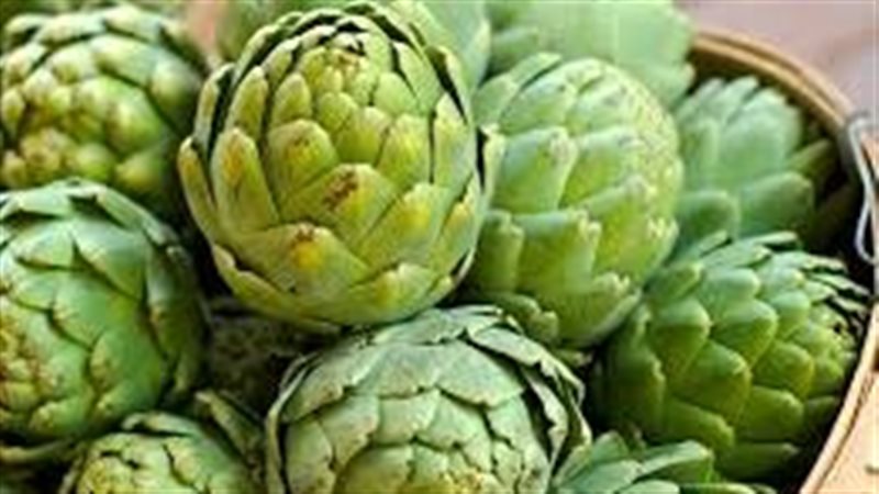 أهم فوائد الخرشوف