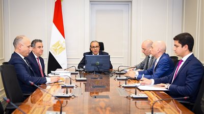 وزير الخارجية: الدفاع عن المصالح المصرية علي رأس أولويات العمل الدبلوماسي في الخارج