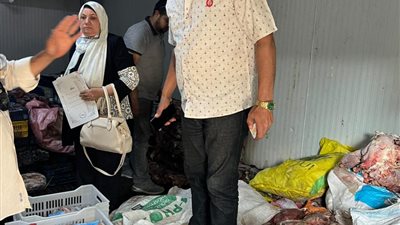 صور صادمة.. الجيزة تضبط أطنانًا من اللحوم الفاسدة والدواجن غير الصالحة 
