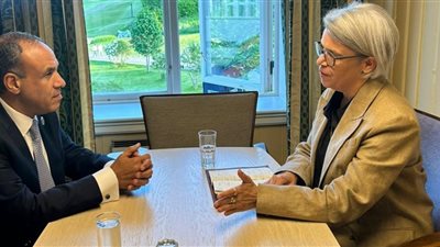 وزير الخارجية يطالب بتكثيف الجهود الدولية لمعالجة التحديات التي تواجه دول المنطقة