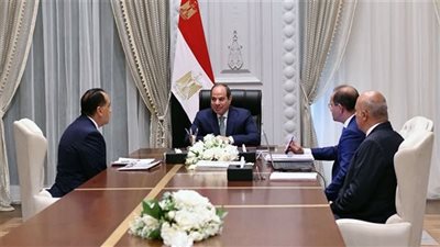 اجتماع هام.. الرئيس السيسي يطلع على نتائج مبادرة التسهيلات الضريبية الأولى