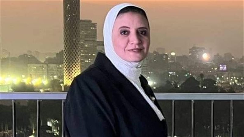 رئيس الشركة المصرية