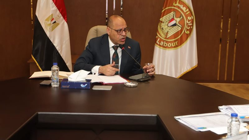 محمد جبران وزير العمل