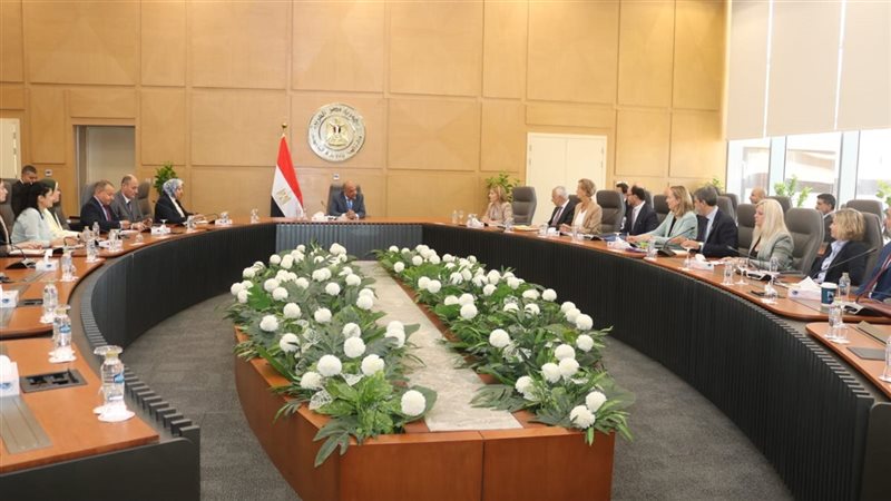مباحثات وزير الكهرباء