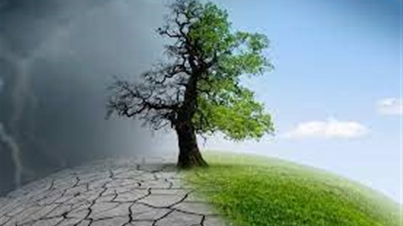 المؤشرات البيئية
