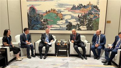 مباحثات بين وزير الكهرباء ومنظمة ترابط الطاقة العالمية لدعم مشروعات الربط الكهربائي  