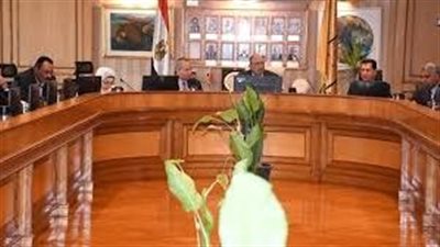 المجلس الأعلى للجامعات يوضح موقفه من نظام الانتساب في تنسيق 2025