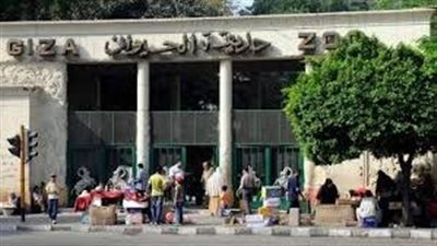حديقة الحيوان بالجيزة تستعد للعودة.. افتتاح مرتقب في سبتمبر 2025