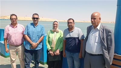 منى رزق تتابع آخر مستجدات مشروع الربط الكهربائي المصري السعودي