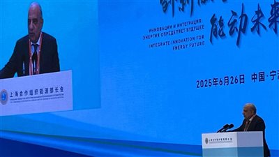 ننشر كلمة وزير الكهرباء أمام مؤتمر شنغهاي للطاقات المتجددة والتحول الطاقي  