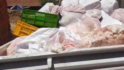 صور مرعبة.. ضبط 13.5 طن لحوم ودواجن فاسدة بأشهر أحياء الجيزة  