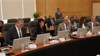  المجلس الأعلى للطاقة يناقش توفير التغذية لـ14 مشروعًا صناعيًا وخطوط إنتاج جديدة 