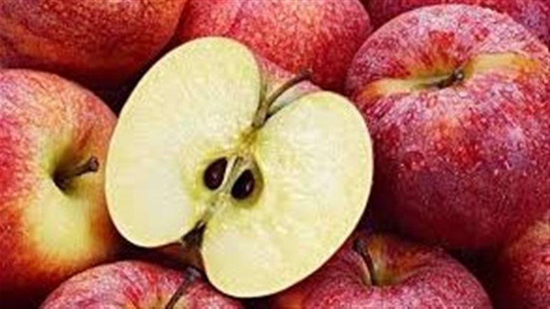 فوائد التفاح