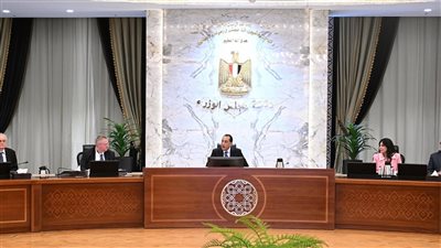 مدبولي يبحث التعاون المشترك ومتابعة المشروعات مع نائب رئيس وزراء روسيا الاتحادية