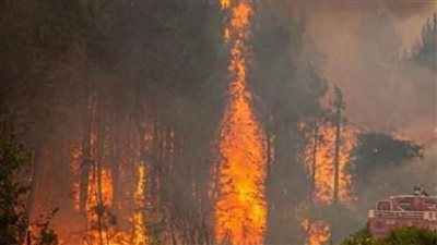 حرائق غير مسبوقة تجتاح أوروبا.. صيف 2025 يسجل الأسوأ منذ عقدين