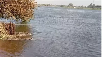 أزمة فيضان النيل تغرق منازل وأراضي زراعية بالمنوفية..والحكومة تحذر من تداعيات خطيرة